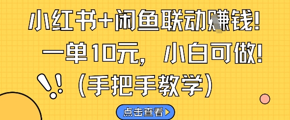 小红书+闲鱼联动挣钱，一单10元，小白可做-紫橙资源网