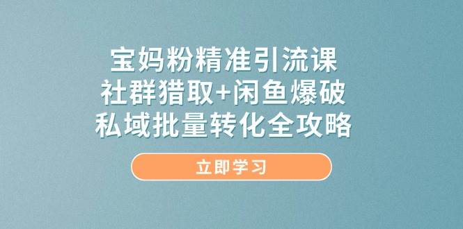 宝妈粉精准引流课,社群猎取+闲鱼爆破,私域批量转化全攻略-紫橙资源网