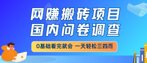 网创搬砖项目，国内问卷调查，小白轻松上手，一天三四张的也不难，干就完了-紫橙资源网