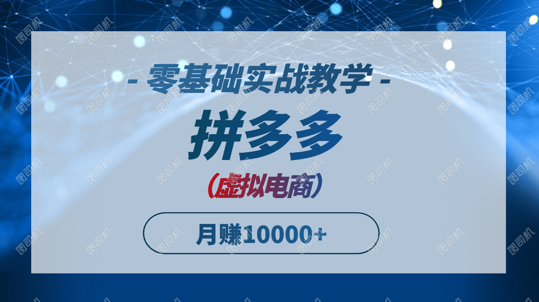 拼多多虚拟电商，零基础实战教学，快速打爆商品，新手也能月入10000+-紫橙资源网