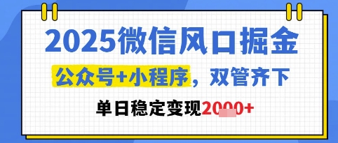 2025微信风口掘金，公众号+小程序双管齐下，单日稳定变现1k+-紫橙资源网