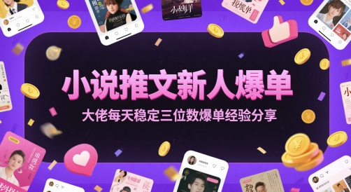 小说推文新人爆单大佬每天稳定三位数爆单经验分享-紫橙资源网