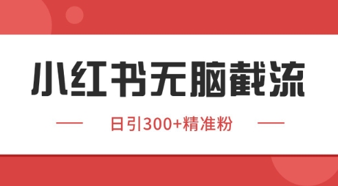 小红书截流同行客源,独家野路子获客玩法 日引200+暴力获客-紫橙资源网