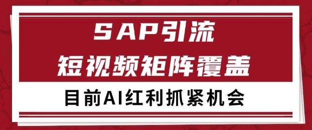 小红书某音sap赛道引流获客 自热矩阵日引200+-紫橙资源网