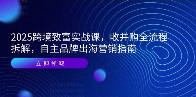 2025跨境致富实战课，收并购全流程拆解，自主品牌出海营销指南-紫橙资源网