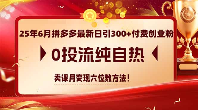 25年6月拼多多最新日引300+付费创业粉，0投流纯自热 卖课月变现六位数方法-紫橙资源网