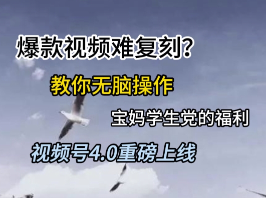 视频号4.0重磅上线，爆款视频难复刻？教你无脑操作宝妈学生党的福利-紫橙资源网