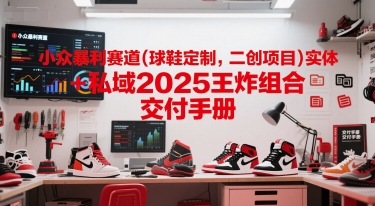 小众暴利赛道(球鞋定制，二创项目)实体+私域2025王炸组合  交付手册-紫橙资源网