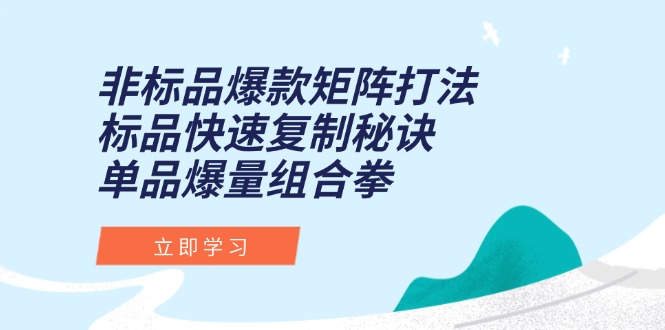 非标品爆款矩阵打法，标品快速复制秘诀，单品爆量组合拳-紫橙资源网