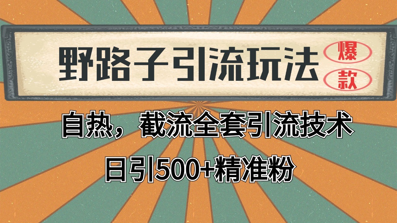 2024首发野路子引流玩法截流自热全平台打法，全自动引流【日引2000+精准客户】-紫橙资源网