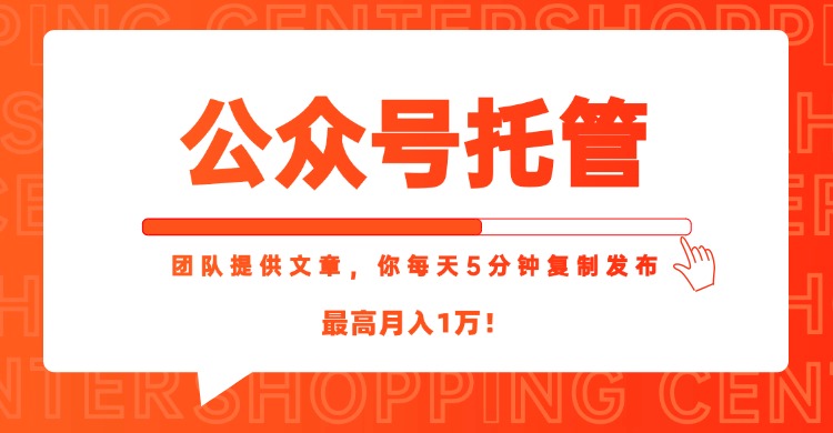 【公众号托管 】我提供文章，你每天５分钟复制发布，最高月入1W-紫橙资源网