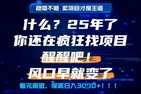 什么？25年你还在疯狂找项目做，醒醒吧，看完这些你全都懂了！-紫橙资源网
