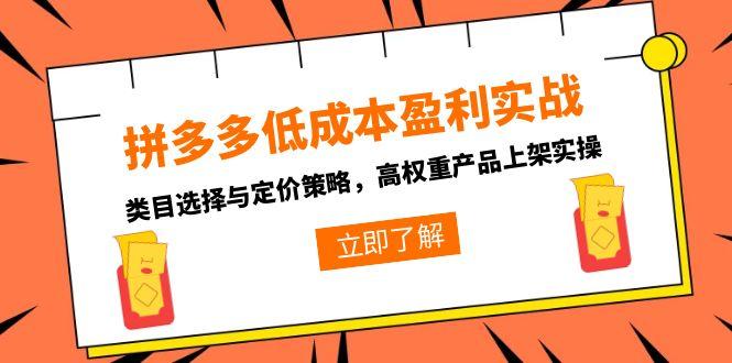 拼多多低成本盈利实战，类目选择与定价策略，高权重产品上架实操-紫橙资源网