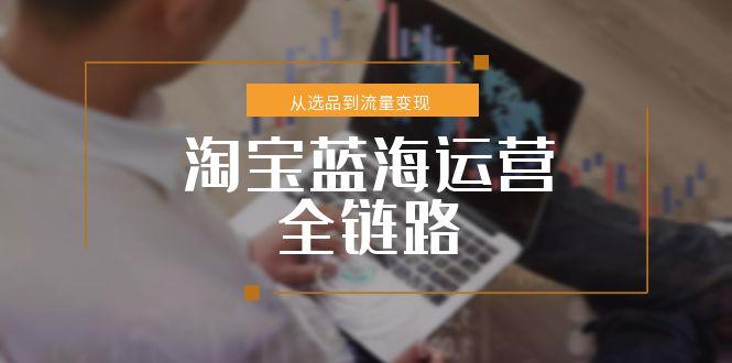 淘宝蓝海运营全链路，从选品到流量变现，小类目突围完整方案-紫橙资源网