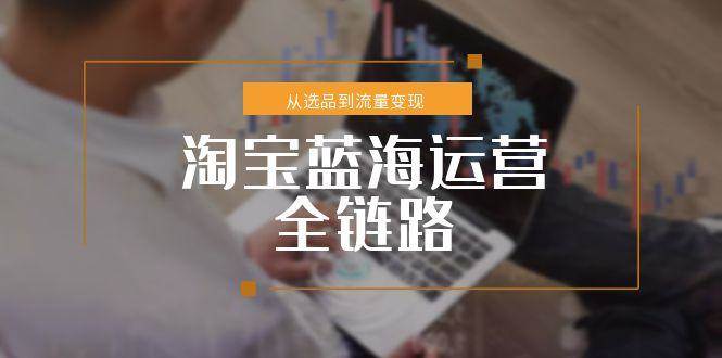 淘宝蓝海运营全链路，从选品到流量变现，小类目突围完整方案-紫橙资源网