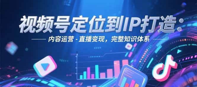 视频号定位到IP打造：账号搭建-内容运营-直播变现，完整知识体系-紫橙资源网