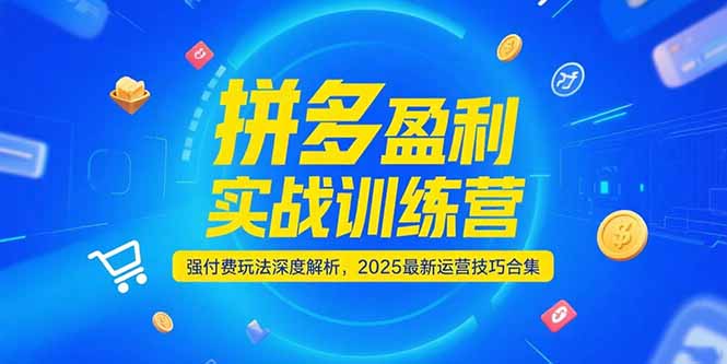 拼多多盈利实战训练营，强付费玩法深度解析，2025最新运营技巧合集-紫橙资源网