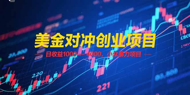 美金对冲创业项目,日收益 1000 – 4000,小众暴力项目-紫橙资源网