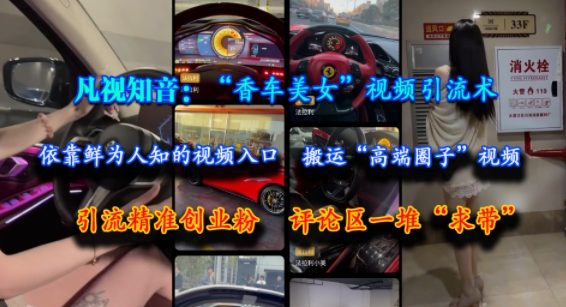 凡视知音：“香车美女”视频引流术，依靠鲜为人知的视频入口，搬运“高端圈子”视频，引流精准创业粉，评论区一堆“求带”-紫橙资源网
