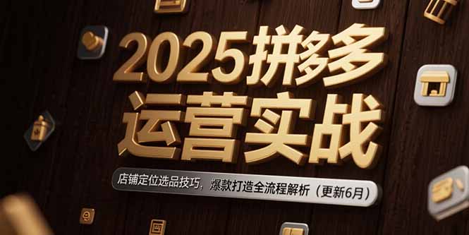 2025拼多多运营实战：店铺定位选品技巧，爆款打造全流程解析（更新6月）-紫橙资源网