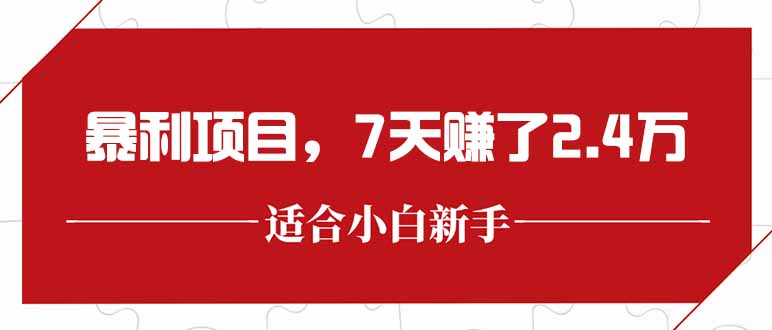最新暴利项目，每单收益轻松在300以上，7天赚了2.4万-紫橙资源网