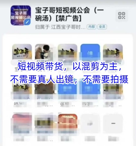 宝子哥头部团队短视频带货，以混剪为主，不需要真人出镜，不需要拍摄【更新6月】-紫橙资源网