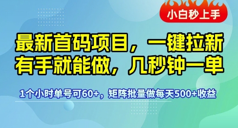 最新首码项目，一键拉新有手就能做，几秒钟一单，1个小时单号可60+，矩阵批量做每天5张-紫橙资源网