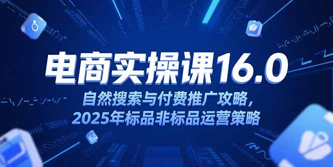 淘宝电商运营课16.0，自然搜索与付费推广攻略，2025年标品非标品运营策略-紫橙资源网