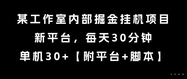 某工作室内部掘金挂G项目，新平台，每天30分钟，单机30+-紫橙资源网