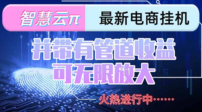 智慧云π电脑挂机单机每天收益300—500+ 并带有团队管道收益 可无限放大-紫橙资源网