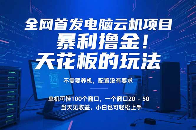 电脑云机项目 暴力撸金玩法，不需要养机 配置没有要求 单机100个窗口一...-紫橙资源网