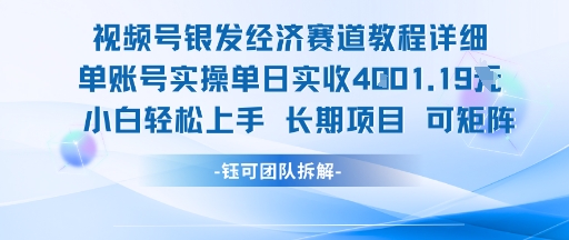 视频号银发经济赛道单账号实操单日实收1k+，小白轻松上手长期项目-紫橙资源网