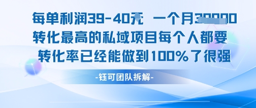 每单利润40一个月7k+转化最高的私域项目，每个人都要的产品转化率已经能做到100%-紫橙资源网