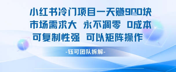 小红书冷门项目一天收益9张，市场需求大，0成本，可复制性强可以矩阵操作-紫橙资源网