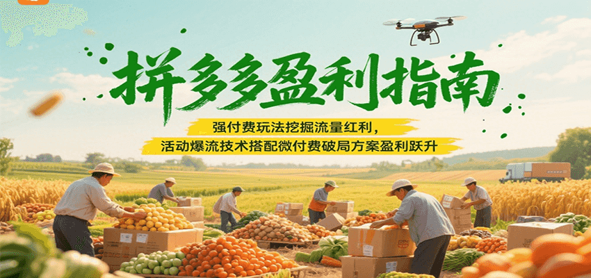 拼多多盈利指南：强付费玩法挖掘流量红利，活动爆流技术搭配微付费方案实现盈利跃升-紫橙资源网