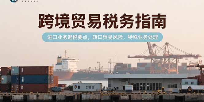 跨境贸易税务指南，进口业务退税要点，转口贸易风险，特殊业务处理-紫橙资源网