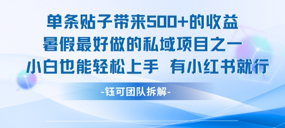 单条贴子带来5张的收益，暑假最好做的私域项目之一，小白也能轻松上手，有小红书就行-紫橙资源网