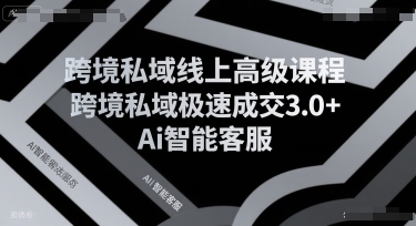 跨境私域线上高级课程，跨境私域极速成交3.0+Ai智能客服-紫橙资源网