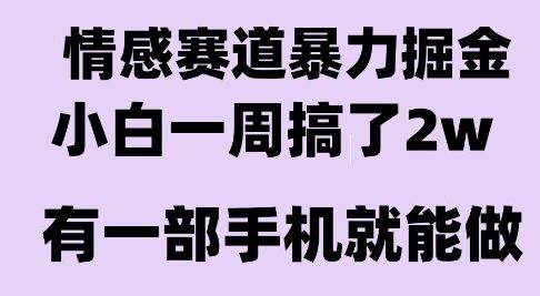 情感暴力掘金项目，新人操作一周挣了2W，长期稳定小白可做-紫橙资源网