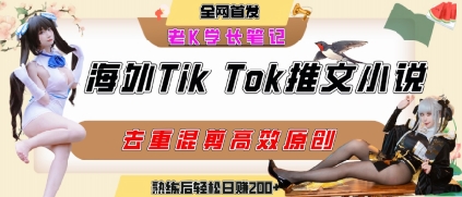 海外tiktok小说推文暴力项目,高停留率,高转化率,上手后一天搞顿饭钱不是问题-紫橙资源网