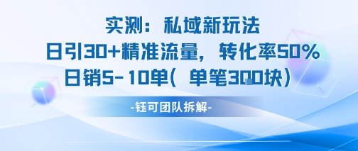 实测私域新玩法日引30加精准流量转化率50%日销5-10单每笔3张-紫橙资源网