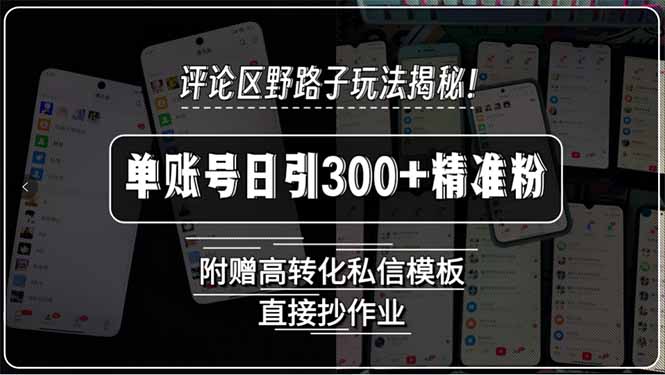 评论区野路子玩法揭秘！单账号日引300+精准粉，附赠高转化私信模板，直...-紫橙资源网