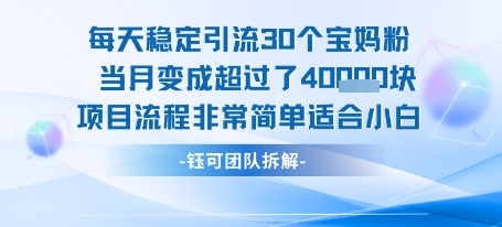 每天稳定引流30个人 当月变成超过了4个W项目流程非常简单适合小白-紫橙资源网