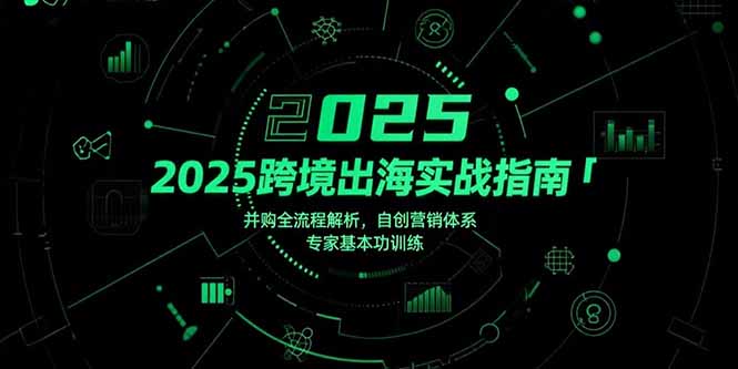 2025跨境出海实战指南,并购全流程解析,自创营销体系,专家基本功训练-紫橙资源网