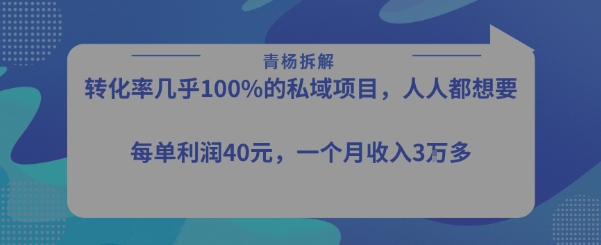 转化率最高的私域项目，每单利润40-50米，月入过1w-紫橙资源网