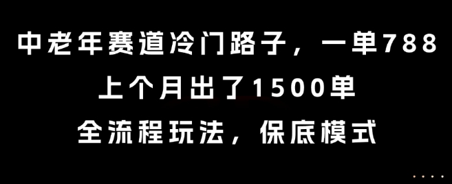 中老年赛道冷门路子，一单788，上个月出了1500单，全流程玩法，保底模式-紫橙资源网
