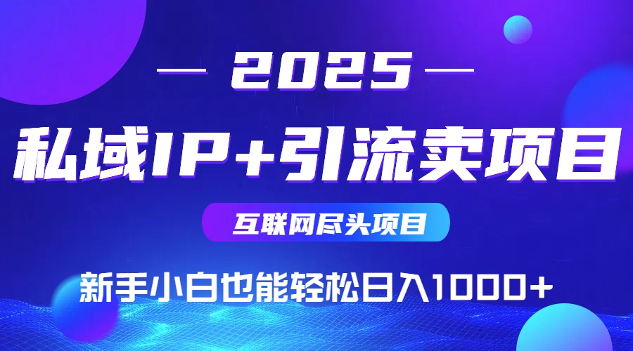 2025网创尽头项目，私域IP+引流，新手小白也能在家日入1000+-紫橙资源网