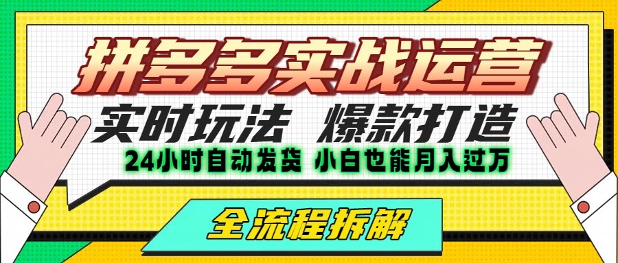 拼多多最新实战运营高投产：长久稳定项目，单店利润一天三位数-紫橙资源网