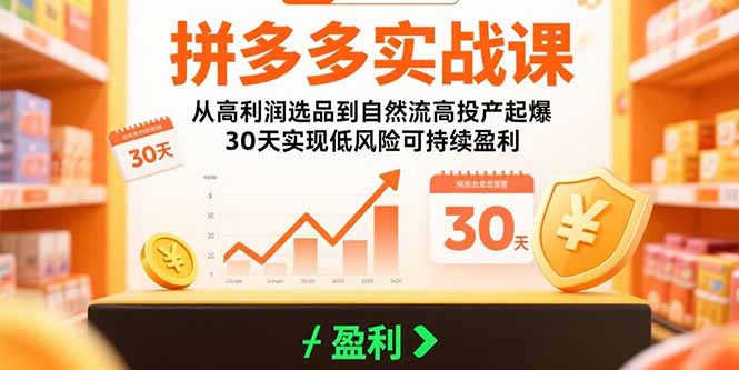拼多多实战课：从高利润选品到自然流高投产起爆 30天实现低风险可持续盈利-紫橙资源网