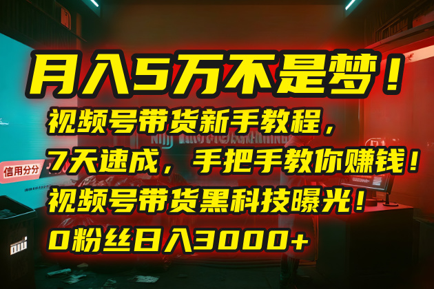月入5万不是梦!视频号带货新手教程,7天速成,手把手教你赚钱!视频号...-紫橙资源网